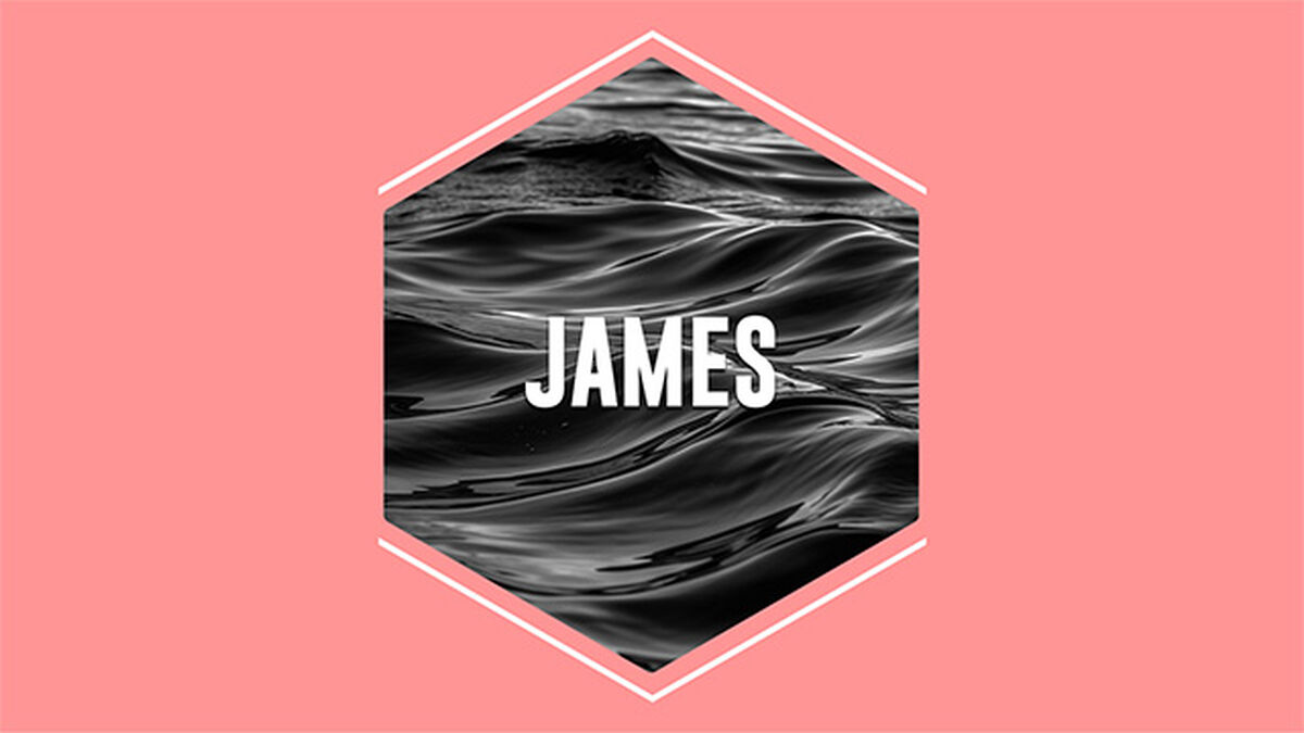 James Bible Study Booklet image number null